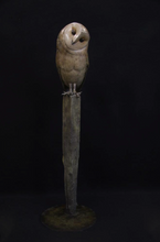 Load image into Gallery viewer, Burnt Barn Owl
